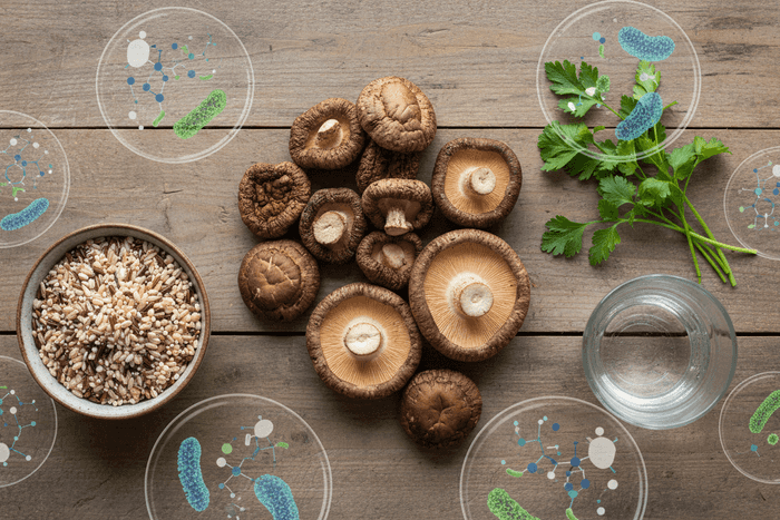 Shiitake and the Gut Microbiome: Digestion and Daily Use article cover