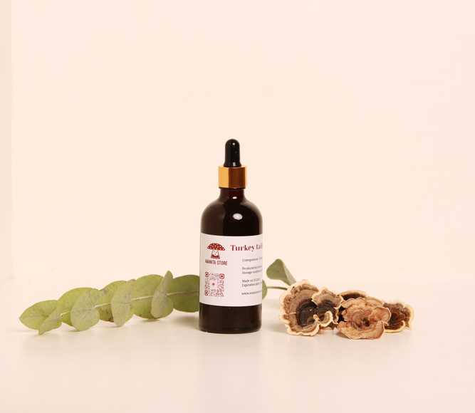 Trametes versicolor Tincture – Double Extraction from Fresh Organic Fruiting Bodies.