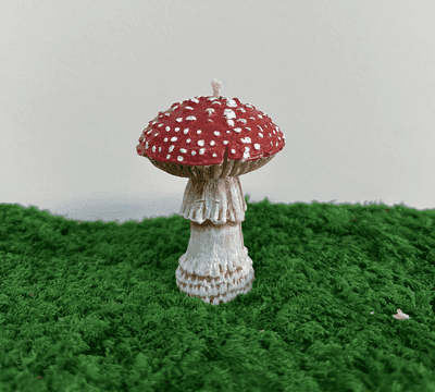 נר ארומה Amanita muscaria