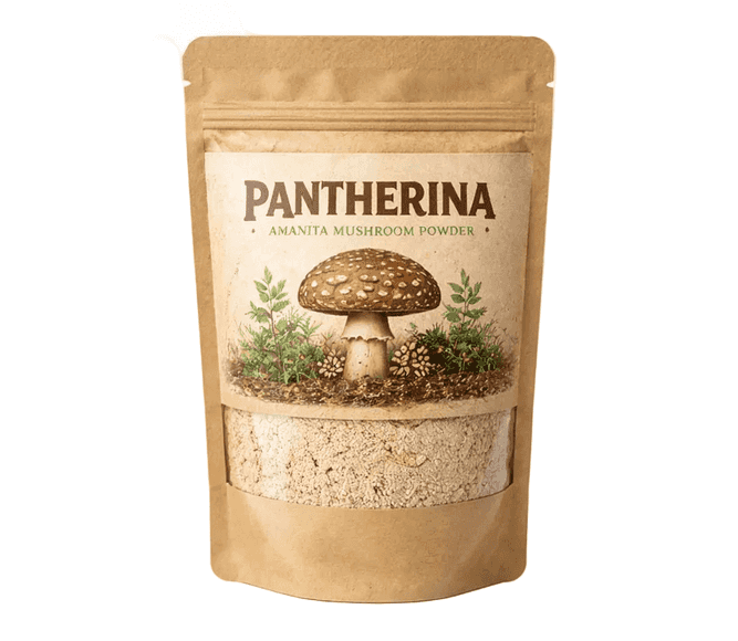 Amanita pantherina powder — 100g
