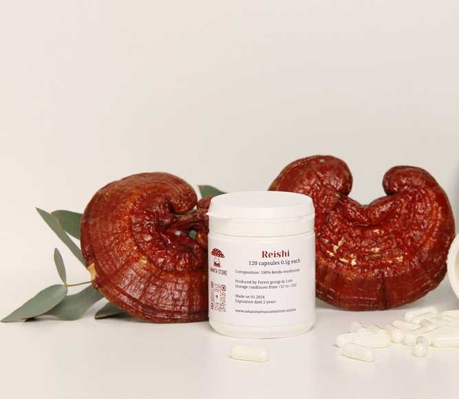 Reishi capsules