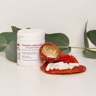 PRODUCTS.amanita-muscaria-capsules.short_title
